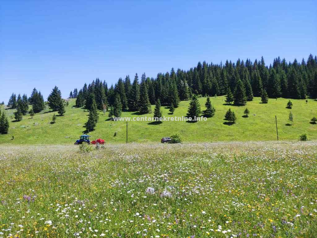 Prodaja, imanje 18.883m2, Saranci, Zabljak