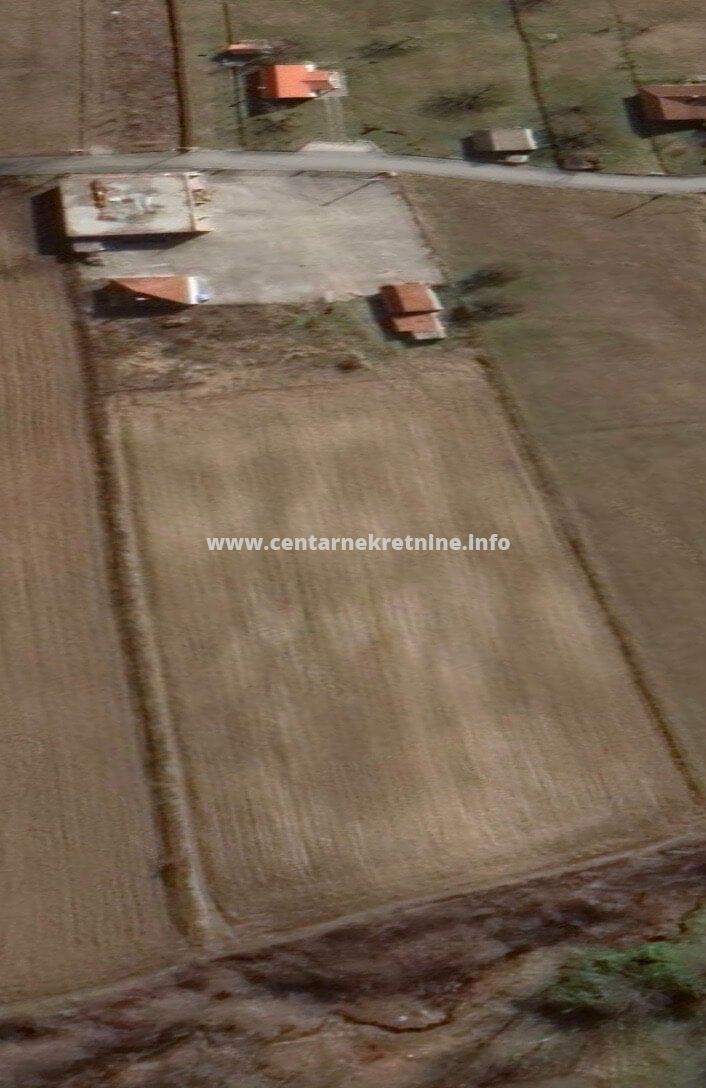 Estate, Jastreb