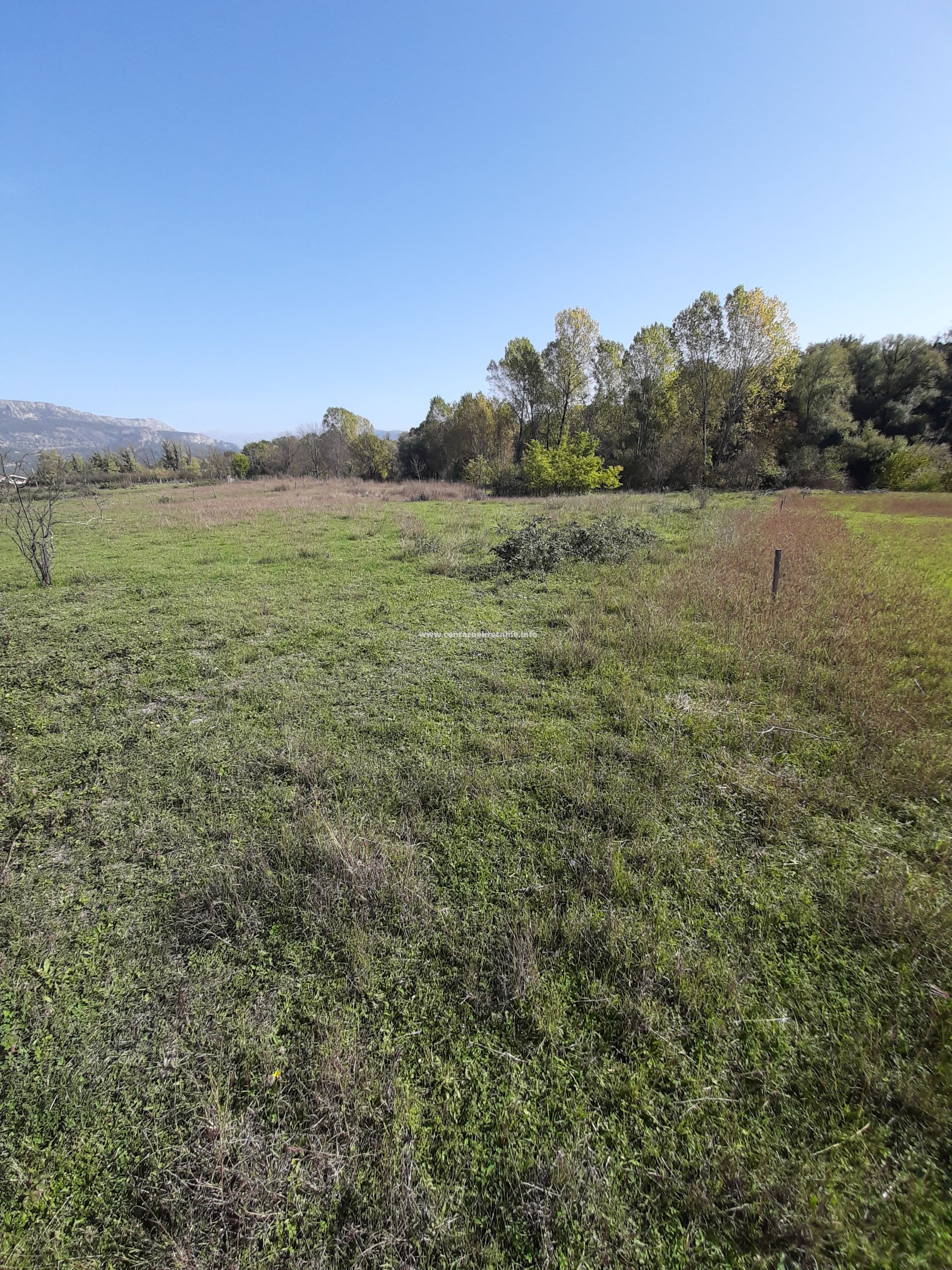 Prodaja, plac 2.500m2, Spuz, Danilovgrad