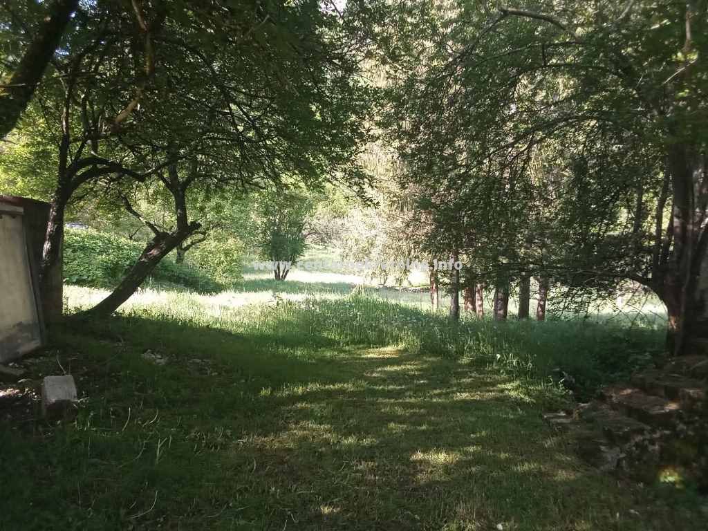 Prodaja, imanje 17.625m2, Liverovici, Niksic