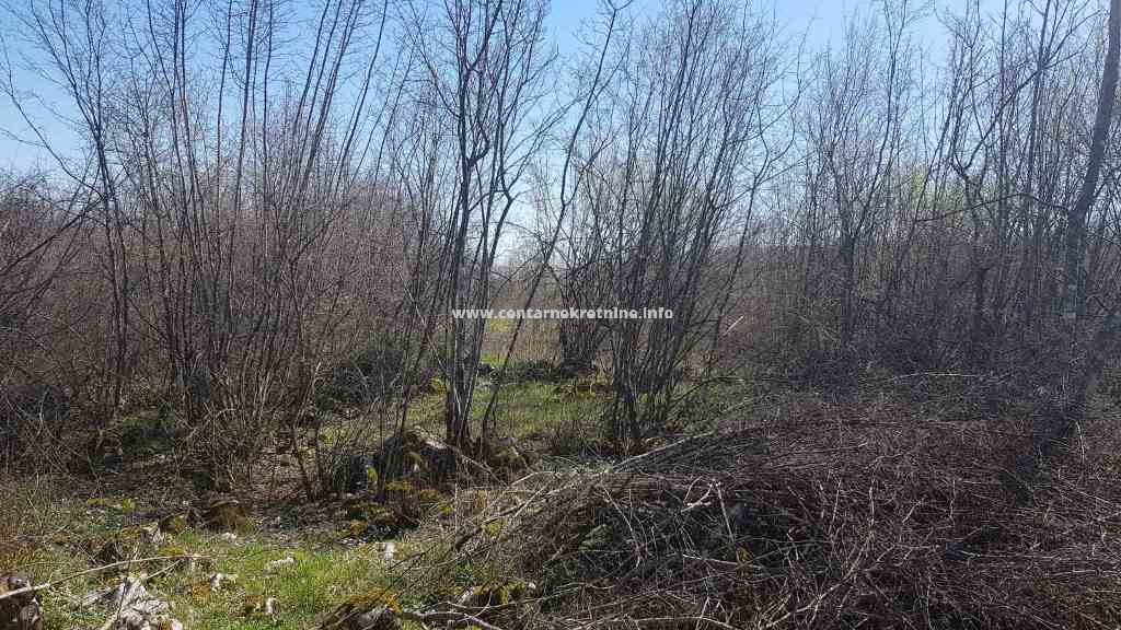 For sale, property 17.790m2, Bandici, Danilovgrad