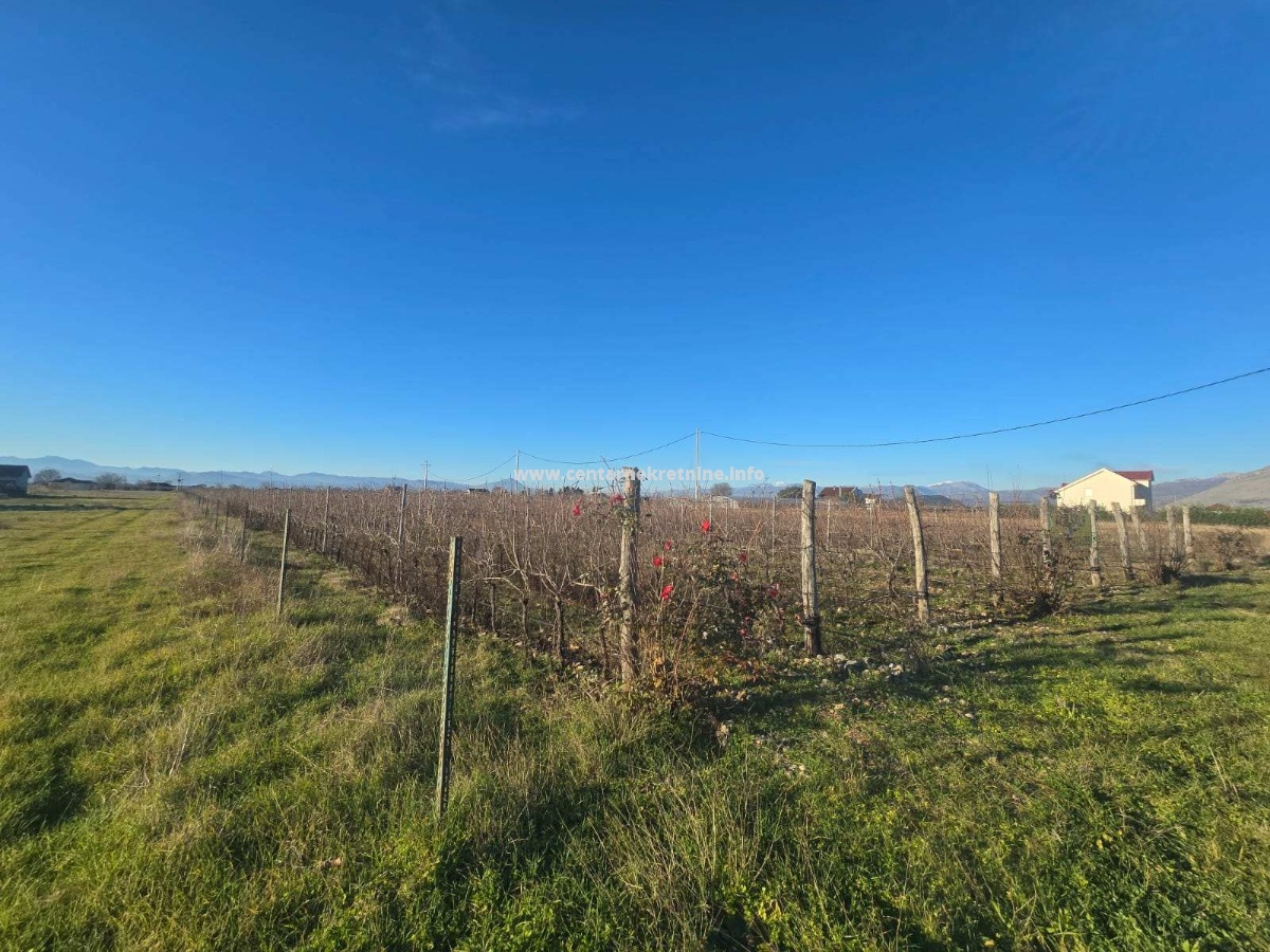 For sale, vineyard 14.947m2, Vuksan Lekic, Tuzi