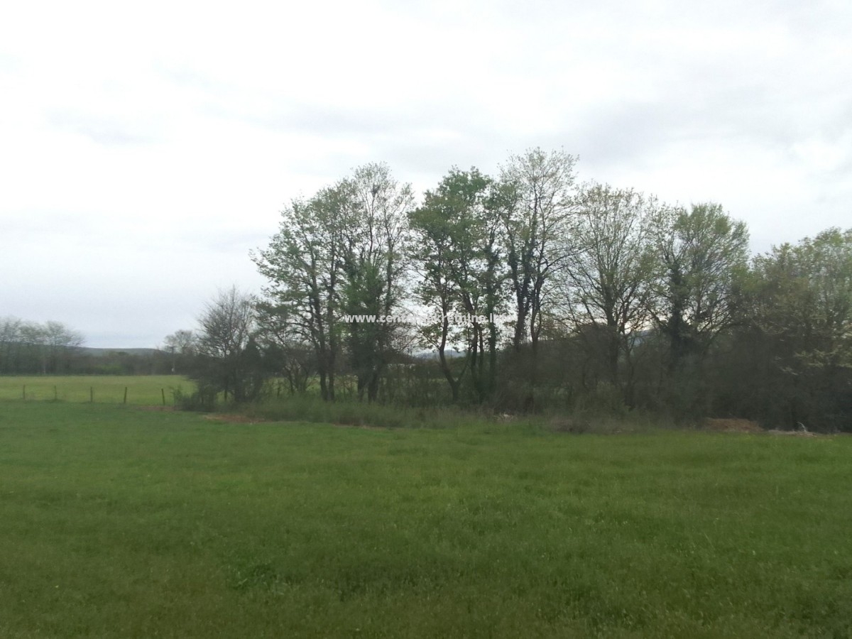 For sale, plot of land 9.925m2, Podglavice, Danilovgrad