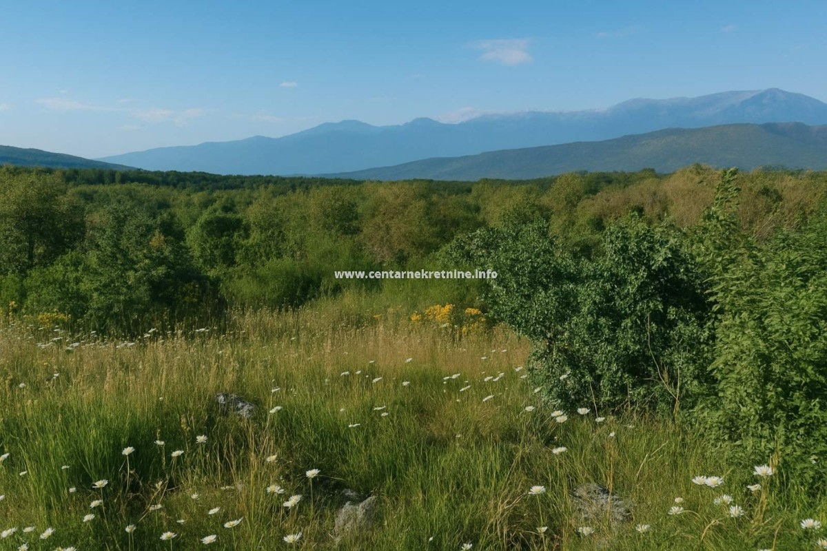 For sale, plot of land 30.962m2, Šteke, Podgorica