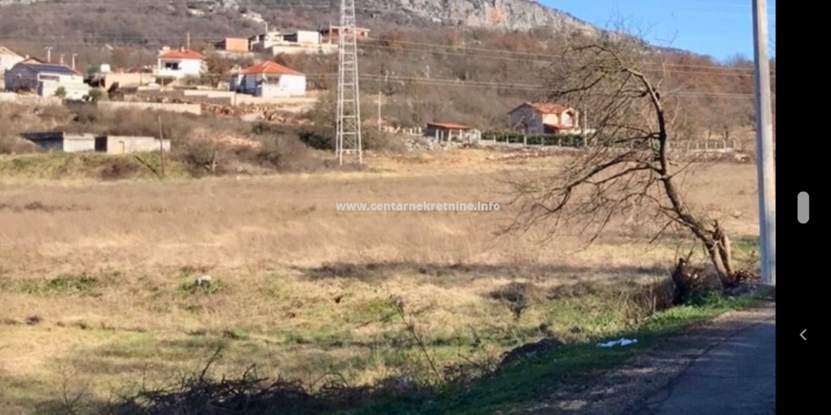 For sale, property 12.000m2, Pricelje, Podgorica 