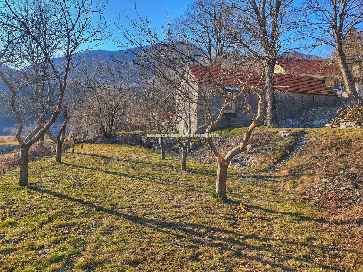 Prodaja, imanje 4.984m2, Njeguši, Cetinje