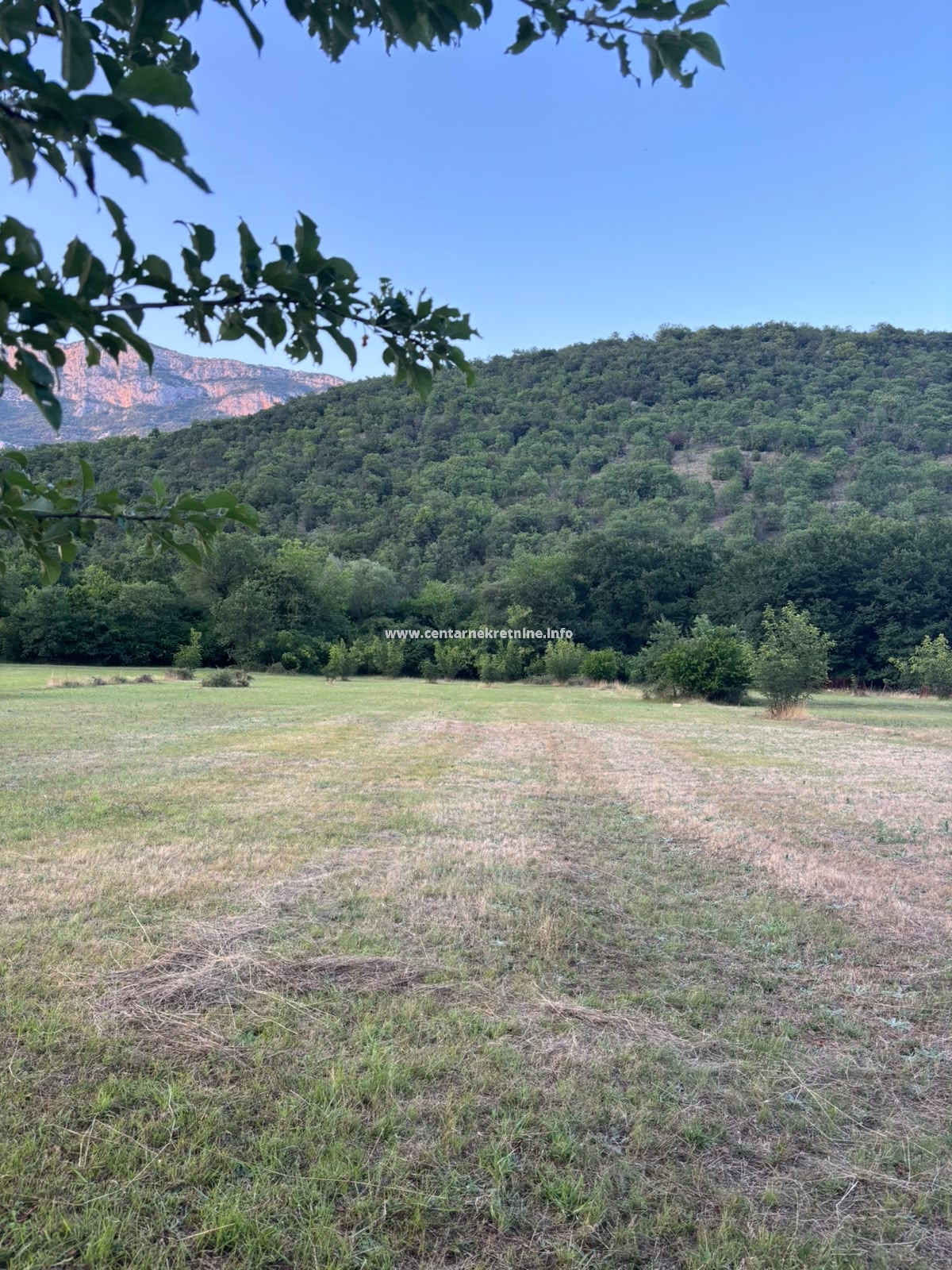 Prodaja, zemljište 5.752m2, Glava Zete, Danilovgrad