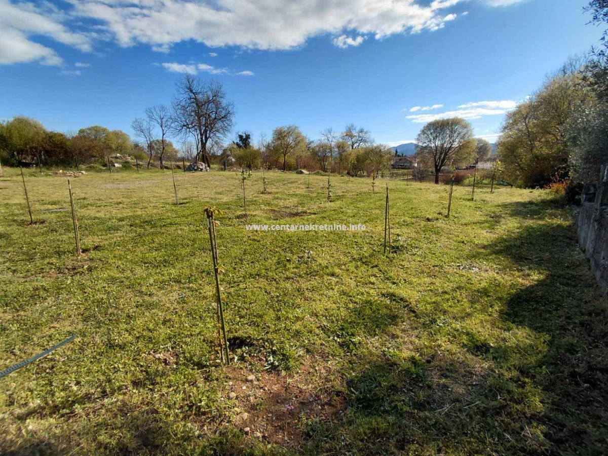 Prodaja, zemljište 500m2, Gornja Gorica, Podgorica